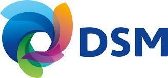 DSM Somos