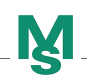 MS Industrie AG