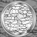 New class of Nano-Structured Steel from NanoSteel
