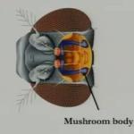 Electrochemical Measurements of Transmitters in Flies at Pittcon 2013