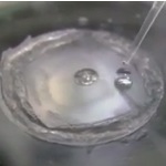 Quick Halide Soak Method from Rigaku