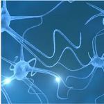 Studying Individual Brain Cells Using Mass Spectrometry