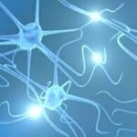 Optogenetics: Controlling Brain Cells Using Light