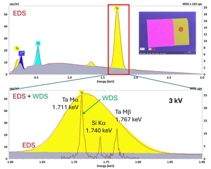 Point spectra and map (insert top right) of a semiconductor microsensor sample. EDS only detects Tantalum (and surface-adhering elements C and O). But QUANTAX WDS sees more: it also detects Si, derived from the substrate below the ~30 nm thick Ta layer.