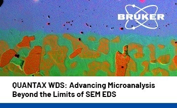Pushing SEM Microanalysis Beyond EDS with QUANTAX WDS