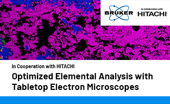 Next-Gen Tabletop SEM for Rapid Elemental Analysis