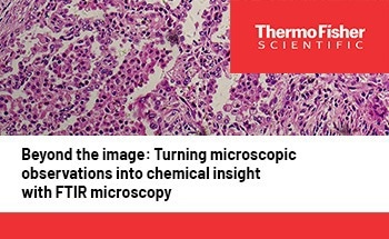 Beyond the image: Turning microscopic observations into chemical insight with FTIR microscopy