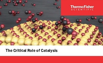 The Critical Role of Catalysis