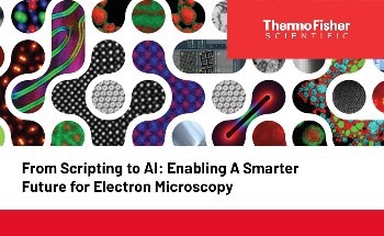 From Scripting to AI: Enabling A Smarter Future for Electron Microscopy