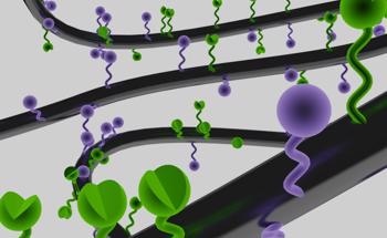 Shining a Light on Conjugated Polymers with GPC-MALS