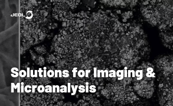 Lithium-Ion Batteries: Solutions for Imaging & Microanalysis
