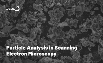 Particle Analysis in Scanning Electron Microscopy
