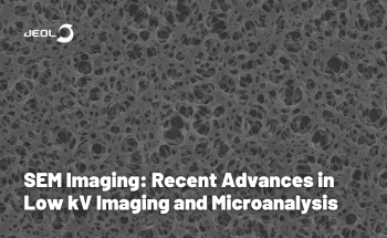 SEM Imaging: Recent Advances in Low kV Imaging and Microanalysis