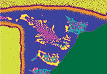 Advances in EDS Throughput - From X-ray Counts to Solutions