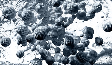 Getting a Charge Out of Nanoparticles: Zeta Potential
