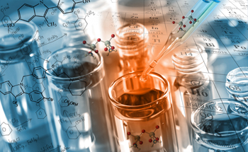 Time-Domain NMR: Basic Principles and Real-World Applications