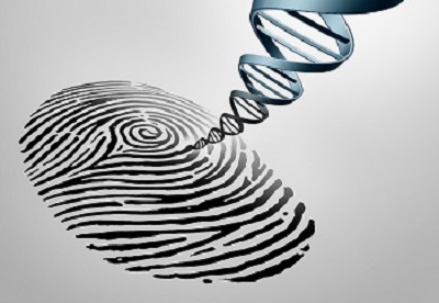 A-TEEM™ Molecular Fingerprinting: A New and Exciting Spectroscopy Technique