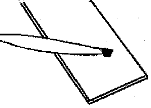 Place a small amount of sample on a clean microscope slide