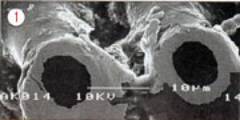 A SEM image of showing the nickel coated carbon fibres.