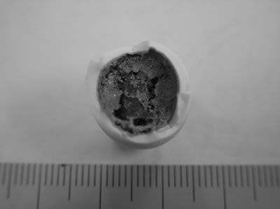 AZoJoMo - Journal of Materials Online - Surface of the specimen oxidized at 1300°C for 3 h in air.