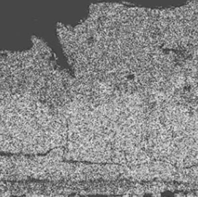 AZoJoMo - Journal of Materials Online - Microstructure of oxidized layer of WC hard-metal chip at 1300°C. Tungsten X-ray map.