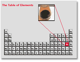 AZoM - Metals, ceramics, polymers and composites - Bromine and the periodic table of the elements.