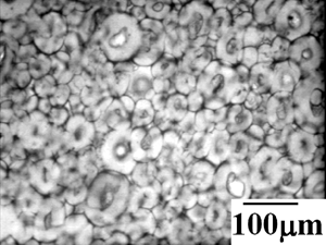 AZoJomo - The AZO Journal of Materials Online - Structure of silicon nitride green compact