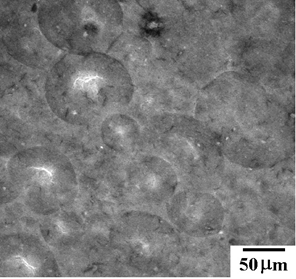 AZoJomo - The AZO Journal of Materials Online - Structure of alumina green compact examined with CLSFM