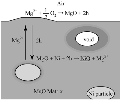AZoJoMo - AZoM Journal of Materials Online - Mechanism of oxidized zone growth of Ni/MgO at elevated temperatures.
