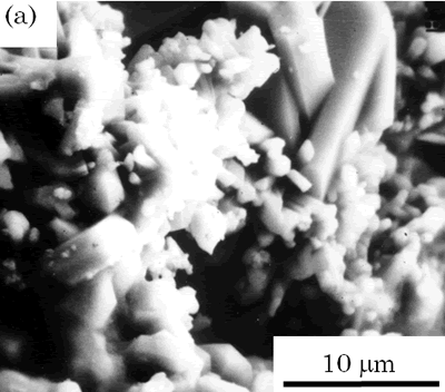 AZoJoMo – AZoM Journal of Materials Online - SEM images of slag-sialon powder by SHS original form.