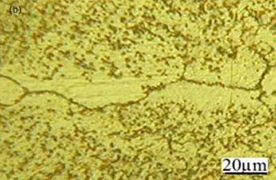 AZojomo - AZo Jounal of Materials Online - Light micrographs of joints made for 900 seconds hold time for MBF 50 interlayer.