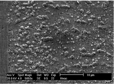 AZojomo - AZo Jounal of Materials Online - Intermetallic precipitates adjacent to the bond interface when using MBF 15 interlayer: SEM micrograph