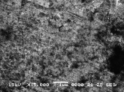 AZoJoMo - AZoM Journal of Materials Online - Surface morphologies of MJ47 nitrided at –6 kV bias voltage.