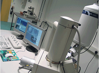AZoM - Metals, ceramics, polymers and composites - Scanning electron microscopy unit available at LSM Analytical