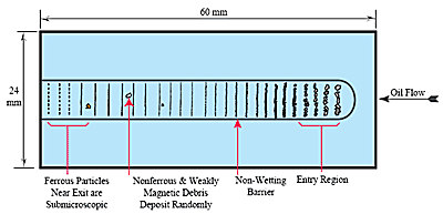 Example of a Ferrogram