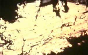 Sample of sliding wear