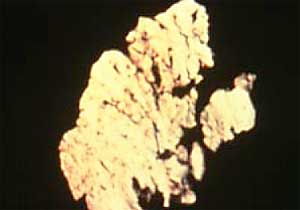 Sample of Fatigue Spall Particle
