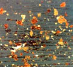 Entry region of ferrogram showing red oxides and free metal particles