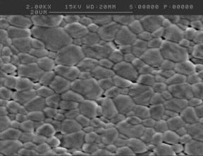 AZoJoMo - AZoM Journal of Materials Online - SEM micrograph of Ba0.70Sr0.30TiO3 pellets derived from 60mins mechanical activation which sintered at 1250oC.