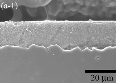 AZoJoMo – AZoM Journal of Materials Online - The variation of cross-sectional and plan images of 2D Al2O3/5 vol% Ni nanocomposite, that were coated on rough substrate and densified at 1000oC.