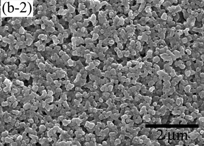 AZoJoMo – AZoM Journal of Materials Online - The variation of cross-sectional and plan images of 2D Al2O3/5 vol% Ni nanocomposite, that were coated on rough substrate and densified at 1100oC.