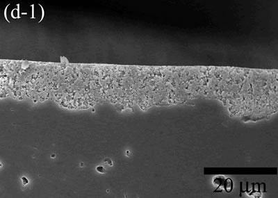 AZoJoMo – AZoM Journal of Materials Online - The variation of cross-sectional and plan images of 2D Al2O3/5 vol% Ni nanocomposite, that were coated on rough substrate and densified at 1300oC.
