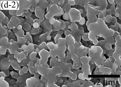 AZoJoMo – AZoM Journal of Materials Online - The variation of cross-sectional and plan images of 2D Al2O3/5 vol% Ni nanocomposite, that were coated on rough substrate and densified at 1300oC.
