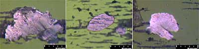 Photographs showing large fatigue particles