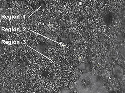 Optical micrograph of SO0N20B-250 coating, where the selected regions for micro-Raman scattering measurements are shown