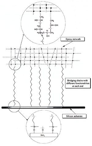 AZoM - metals, ceramics, polymers and composites : Diagram illustrating the way bridging chains, with silane functionality at one end and amine functionality at the other, can form covalent links between an epoxy network and glass substrate.