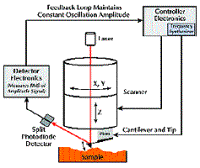 Schematic of the major components of an atomic force microscope, showing the feedback loop for TappingMode operation.