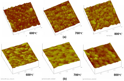 AFM micrographs of the “as coated” BT thin films sintered at 600, 700 and 800°C of a)BaTiO3/ITO-2min/Si(111) and b) BaTiO3/ITO-1min/Si (111).