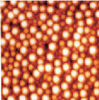 TappingMode in liquid image of positively charged polystyrene latex particles adsorbed to mica (in water). The average particle diameter is 120nm. 3μm scan