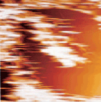 Contact mode image in water of the same area in Figure 1. 3μm scan